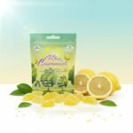 Wasatch Vibe Gummies Super Lemon Haze (10mg/10ct) - Image 2