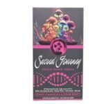 Sacred Journey Mushroom Chocolate Bar (8pc / .5g per piece) - Image 4