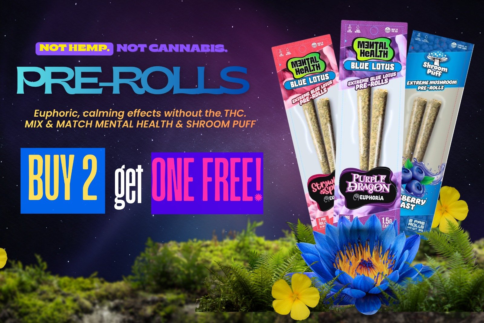 WhatsApp Image 2026-04-15 at 1.12.58 AM